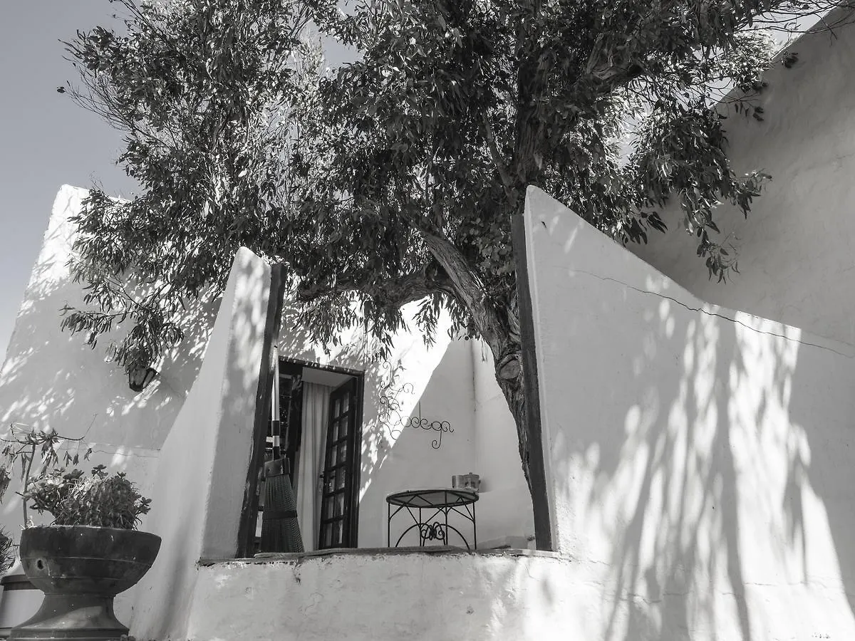 Апартаменты Apartamento Rural La Bodega Con Piscina Privada Y Wifi Gratis Тиас Испания